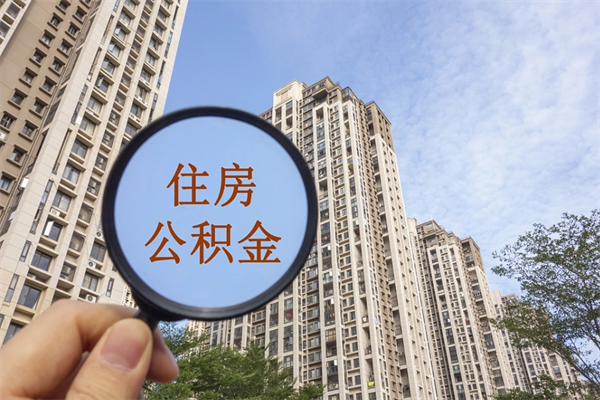 取公积金黄牛（取公积金黄牛可以取吗）